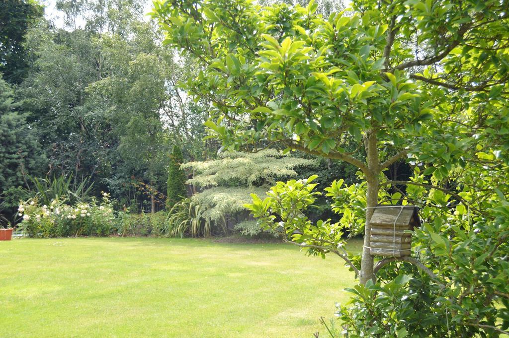 Beechwood Country House Casa de hóspedes Malahide Exterior foto